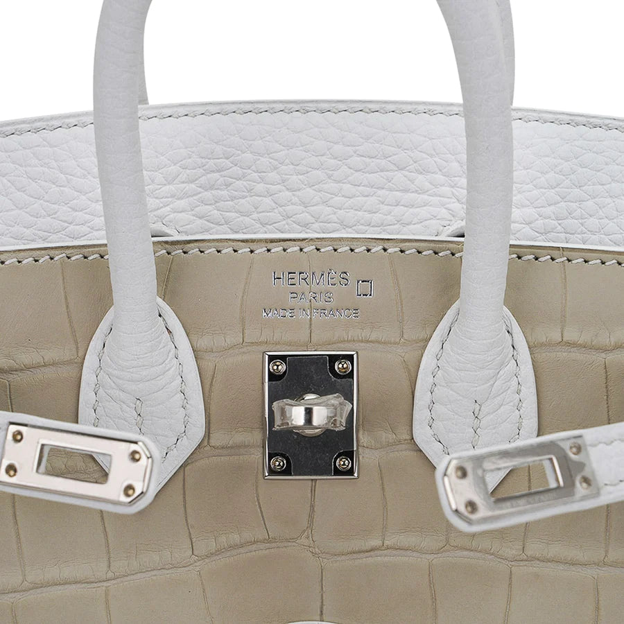 Birkin 20 Sellier Neige White Faubourg House Alligator Bag