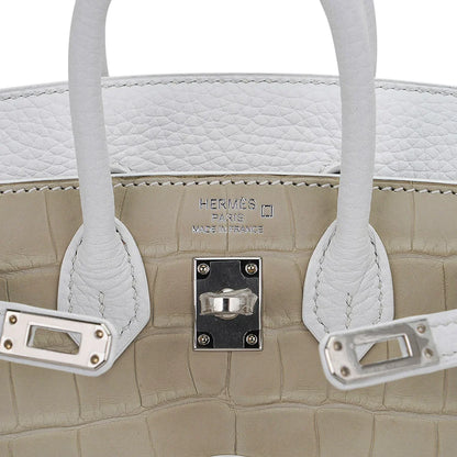 Birkin 20 Sellier Neige White Faubourg House Alligator Bag